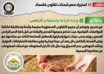 استيراد مصر شحنات تقاوي فاسدة .. شائعة