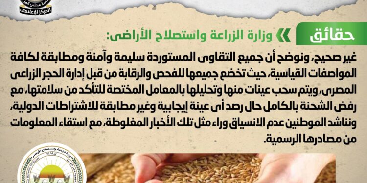 استيراد مصر شحنات تقاوي فاسدة .. شائعة