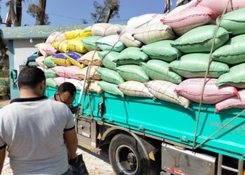 البنك الزراعي يبدأ استلام القمح من الموردين في 190 موقع