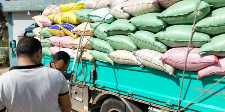 البنك الزراعي يبدأ استلام القمح من الموردين في 190 موقع