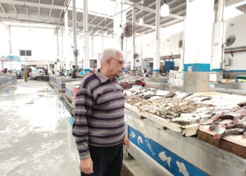 رئيس شعبة الأسماك بتجارية الإسماعيلية يعلن إنخفاض اسعارها 30 %