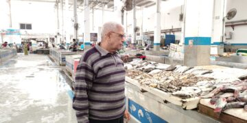 رئيس شعبة الأسماك بتجارية الإسماعيلية يعلن إنخفاض اسعارها 30 %