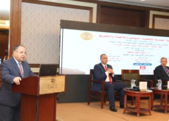 معيط : المؤسسات الدولية ترصد بإيجابية المسار الاقتصادي ونتطلع إلى تحسن تصنيف مصر