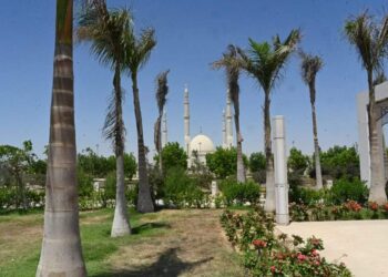 زرع 46 ألف شجرة ونخلة بالحدائق المركزية بالعاصمة الإدارية الجديدة