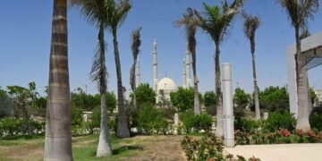 زرع 46 ألف شجرة ونخلة بالحدائق المركزية بالعاصمة الإدارية الجديدة