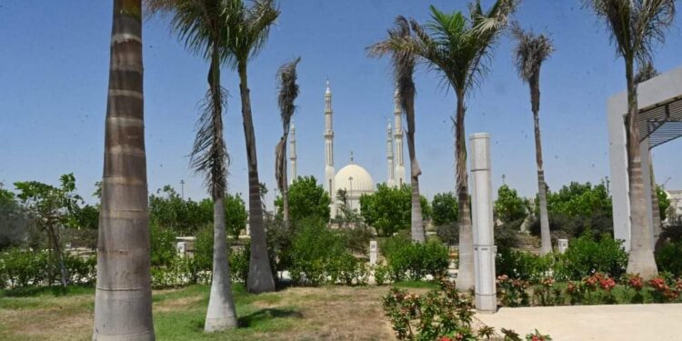 زرع 46 ألف شجرة ونخلة بالحدائق المركزية بالعاصمة الإدارية الجديدة