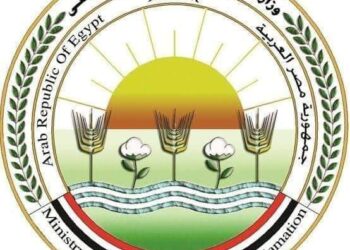 المجازر تستقبل 10 آلاف أضحية أول أيام عيد الأضحى