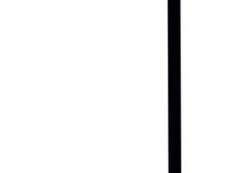 دورة مجانية في الجرافيك بالتعاون بين “الشباب والرياضة” و”الاجتماعية القبطية للتنمية”