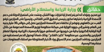 رفع الدعم عن الأسمدة الزراعية بدءاً من الموسم المقبل.. شائعة