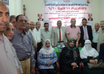 فرغل : ثورة 30 يونيو لحظة فارقة في تاريخ الأمة