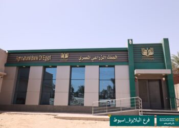 “الزراعي المصري” يفتتح 10 فروع جديدة ويعيد افتتاح 16 فرعاً بعد تطويرها