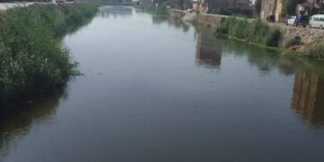 كشف لغز البقع الزيتية في المجري المائي لترعة المريوطية