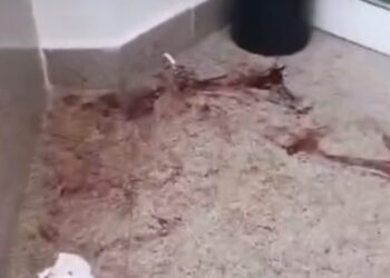 إصابة مصريين وسياح من عرب ٤٨ في مشاجرة بفندق جنوب سيناء