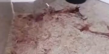 إصابة مصريين وسياح من عرب ٤٨ في مشاجرة بفندق جنوب سيناء