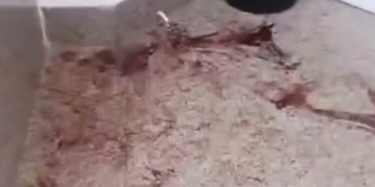 إصابة مصريين وسياح من عرب ٤٨ في مشاجرة بفندق جنوب سيناء