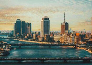 انضمام مصر للخطاب الموجه للأمم المتحدة للمطالبة بوقف تصدير الأسلحة لإسرائيل