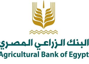 ضخ 25.6 مليار جنيه لتمويل قروض انتاج المحاصيل الزراعية بختام الربع الثالث من 2024