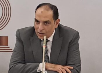 العرجاوي : الترانزيت غير المباشر يجعل مصر مصدرا لتغذية الدول المحيطة
