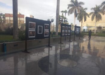 عام جديد وبداية جديدة لعروض “السيما 36”