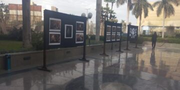 عام جديد وبداية جديدة لعروض “السيما 36”