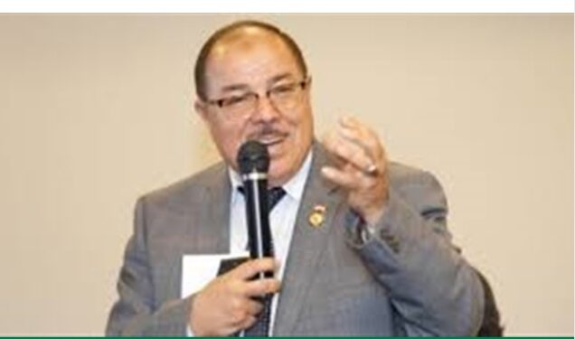 نصر الدين: الإخوان أطلقت الشائعات ضد مصر