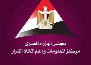 معلومات الوزراء: اقتصاديات البيانات عنصر حيوي في تشكيل المستقبل