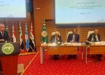 “عبدالغفار” يضع خارطة طريق الذكاء الاصطناعي أمام قمة تونس للعمل العربي