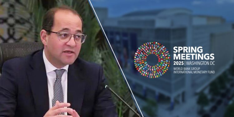 عودة خدمات الدعم الفنى بالتطبيق الإلكتروني لمبادرة سيارات المصريين بالخارج