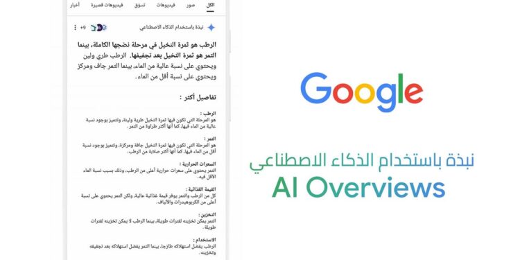 الكشف عن ابتكارات تشمل بحث Google وGemini في الشرق الأوسط وشمال أفريقيا