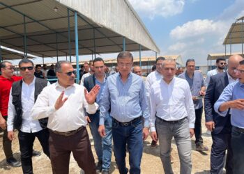 “البنك الزراعي” يمول شراء 2000 رأس ماشية بقيمة 395 مليون جنيه لصالح صغار المربين