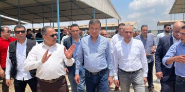 “البنك الزراعي” يمول شراء 2000 رأس ماشية بقيمة 395 مليون جنيه لصالح صغار المربين