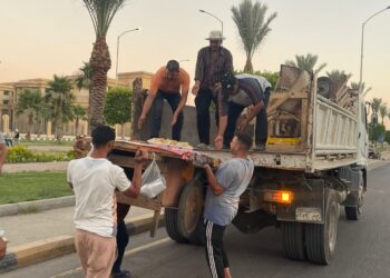 حملات لمواجهة المخالفات والظواهر السلبية بالشيخ زايد