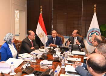 كجوك : حريصون على الاستغلال الأمثل للموارد والأصول المملوكة للدولة