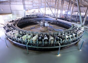 جهينه تطلق مرحلة جديدة من التوسع في مزرعة “إنماء” بتطوير وحدة الحلب