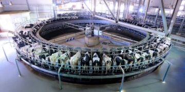 جهينه تطلق مرحلة جديدة من التوسع في مزرعة “إنماء” بتطوير وحدة الحلب