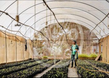 دعوة الدول الإفريقية إلى اغتنام الفرص لتعزيز اقتصاداتها من خلال خططها الوطنية المناخية الجديدة “NDCs”