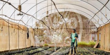 دعوة الدول الإفريقية إلى اغتنام الفرص لتعزيز اقتصاداتها من خلال خططها الوطنية المناخية الجديدة “NDCs”