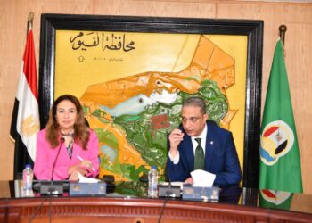 الأنصاري: بحث تنفيذ التطوير المؤسسي الرقمي لمحافظة الفيوم