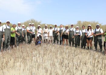 موظفو توتال إنرجيز يزرعون 1000 شجرة مانغروف في مرسى علم