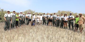 موظفو توتال إنرجيز يزرعون 1000 شجرة مانغروف في مرسى علم