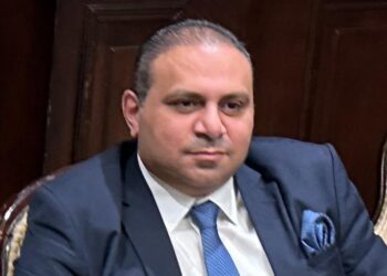 زكي: مصر البوابة الاقتصادية والسياسية لأفريقيا