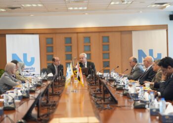 كجوك: نعمل على زيادة موارد الدولة لتحسين حياة الناس