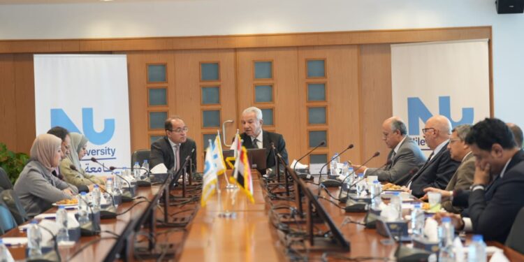 كجوك: نعمل على زيادة موارد الدولة لتحسين حياة الناس