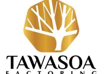 «توسع للتخصيم» تقرر زيادة رأس المال المصدر إلى 115 مليون جنيه