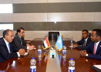 وزير الخارجية يلتقي نظيره الصومالي ويؤكد دعم مصر الكامل