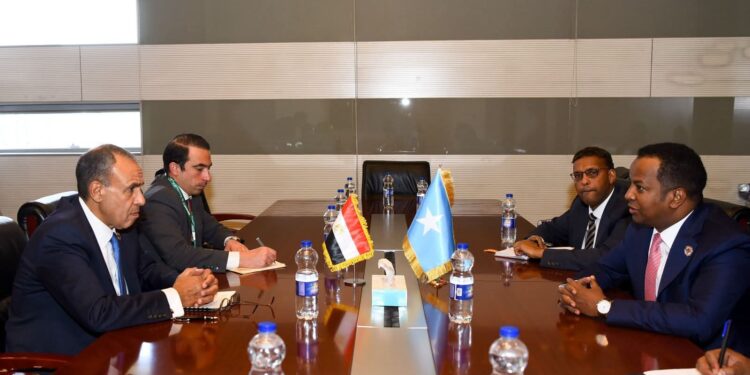 وزير الخارجية يلتقي نظيره الصومالي ويؤكد دعم مصر الكامل