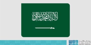 مصر والمملكة تؤكدان إدانتهما إزاء تصريحات السفير الأمريكي لدى إسرائيل