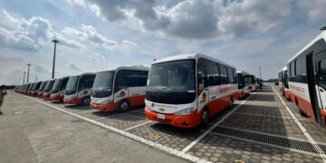 المنصور للسيارات تُصدر 100 حافلة إلى غانا من ميناء شرق بورسعيد