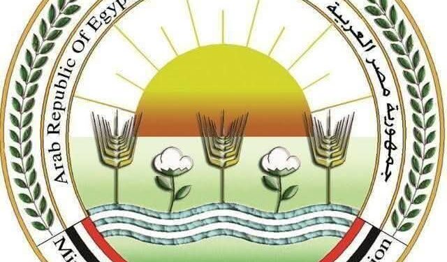 «الزراعة»:منافذنا الرسمية معروفة ولا نبيع إلكترونياً
