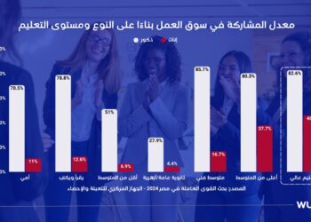 بشرسوفت تصدر أول تقرير لها حول اتجاهات توظيف المرأة في مصر